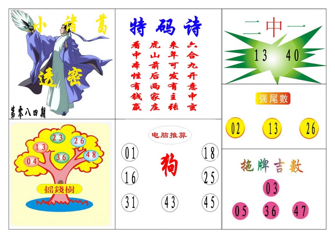 084期小诸葛[图]